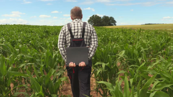 field scouting 1