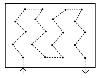 fieldscouting pattern