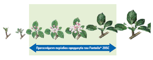 fontelis efarmogh