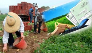 Μειώσεις ΦΠΑ σε γεωργικά εφόδια και τρόφιμα ζητά η ΠΑΣΕΓΕΣ
