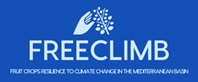 freeclimb