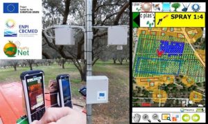 Το νέο πρόγραμμα FruitFlyNet αντιμετωπίζει τα καρποφάγα έντομα