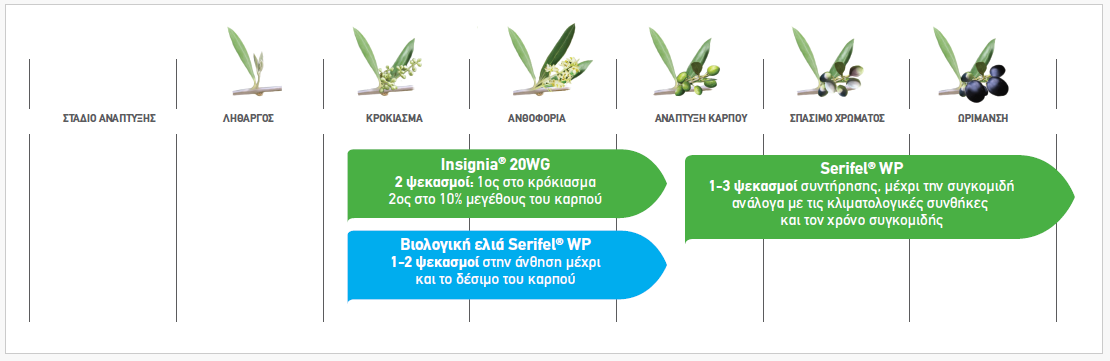 gloiosporio