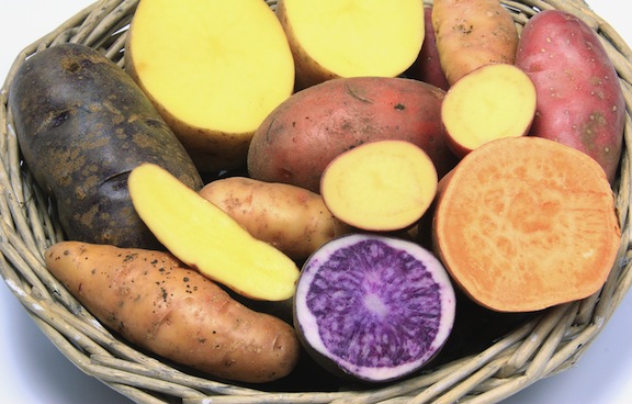 glykopatata4