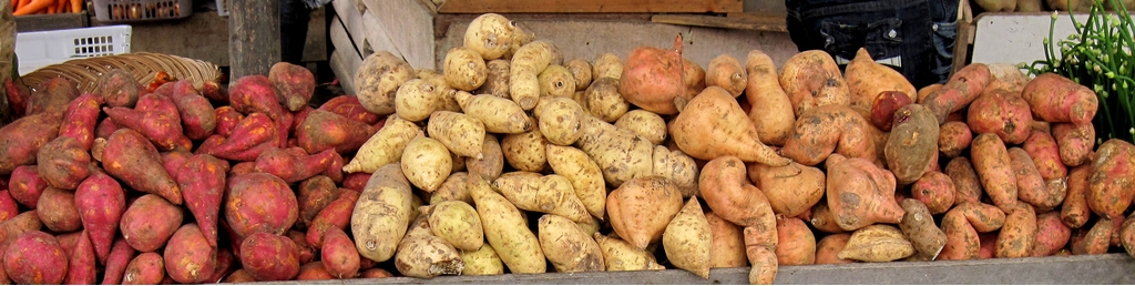 glykopatata5