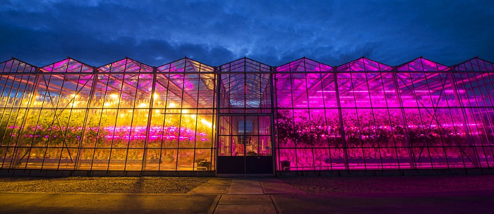 greenhouse