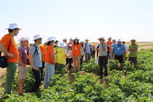 H συμμετοχή της Ελληνικής ομάδας της Haifa στην Agritech 2015