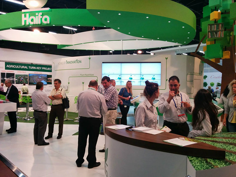 haifa home of innovation