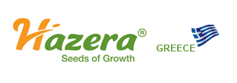 hazera gr