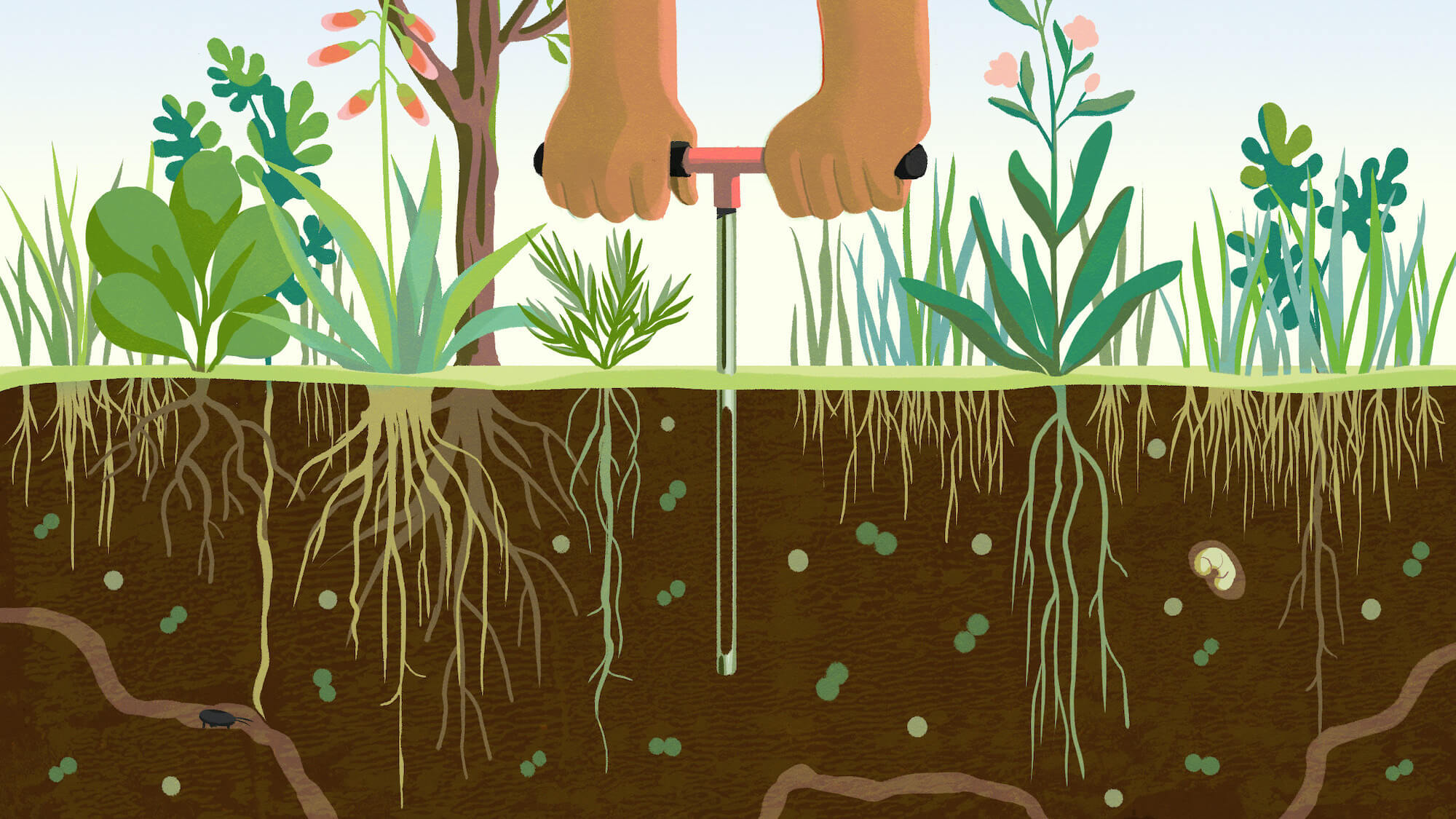 header2 soil regenerative agriculture april 2021