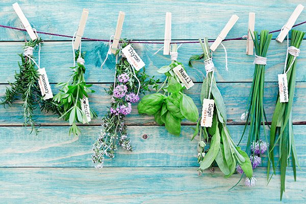 herb1