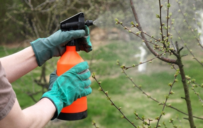 horticulturaloil cover