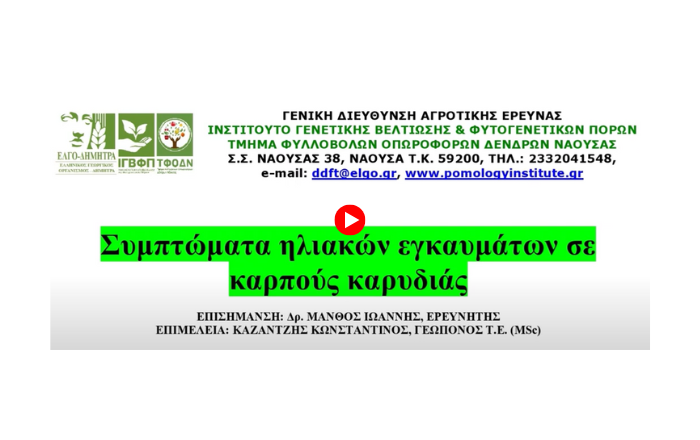 iliaka egaumata karidia yt