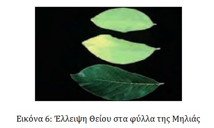 image6