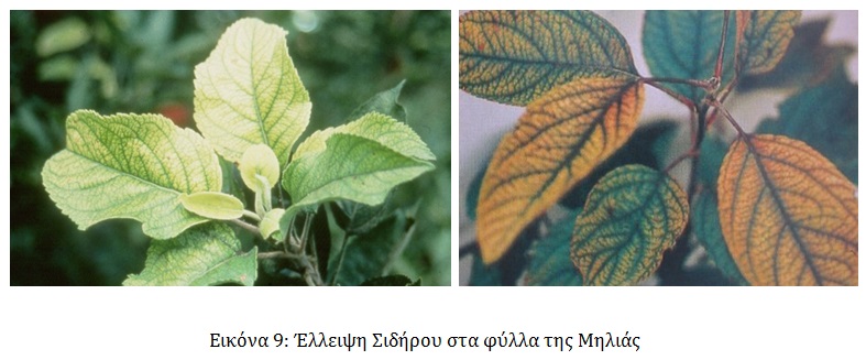 image9