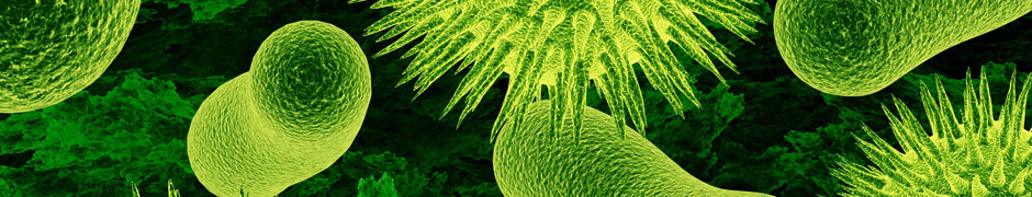 immune8