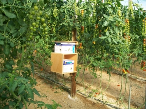 innovative solutions kainotomes liseis 300x225