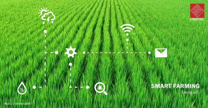 iot