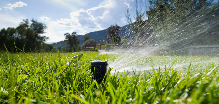 irrigation1