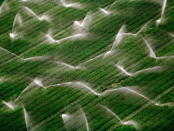 irrigation1
