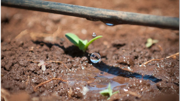 irrigation2