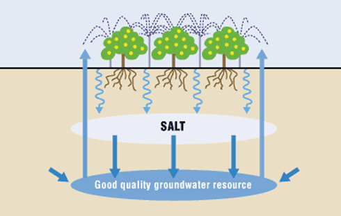 irrigation4