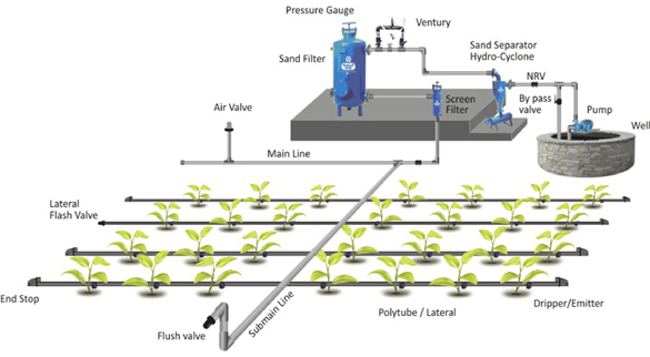 irrigation5