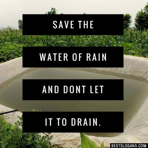 irrigation8