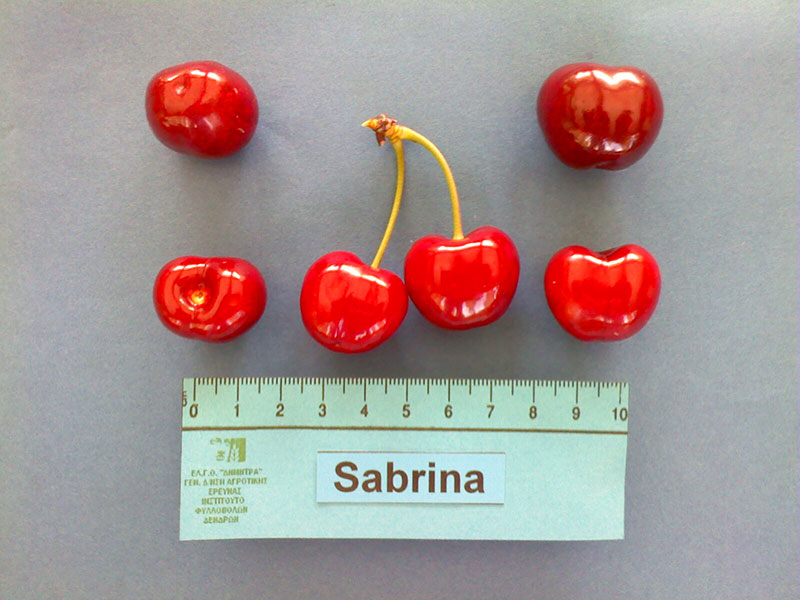 kerasi sabrina
