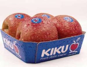 kiku