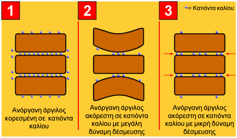 kinhsh kaliou edafos 10