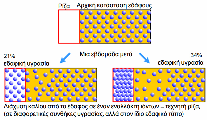 kinhsh kaliou edafos 12