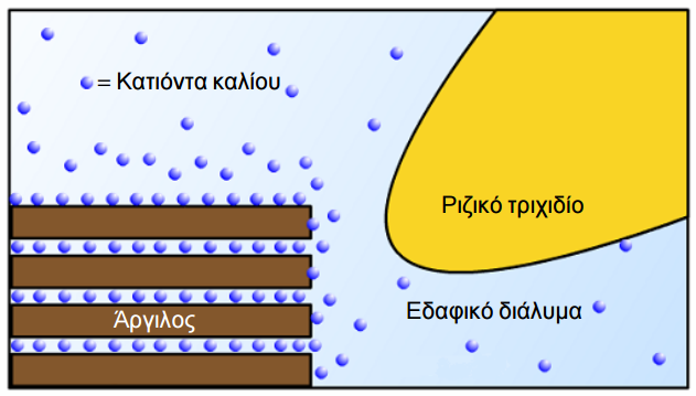 kinhsh kaliou edafos 15a