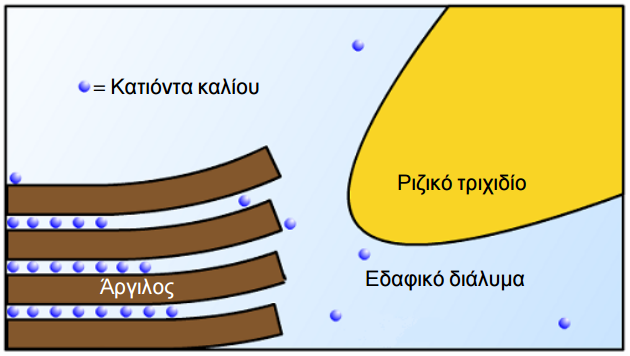 kinhsh kaliou edafos 15b