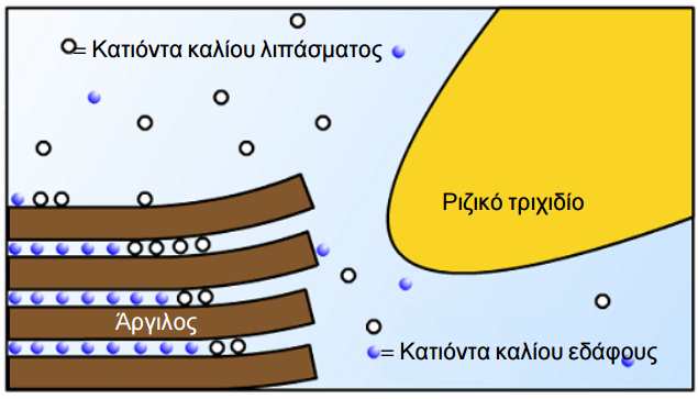 kinhsh kaliou edafos 15c