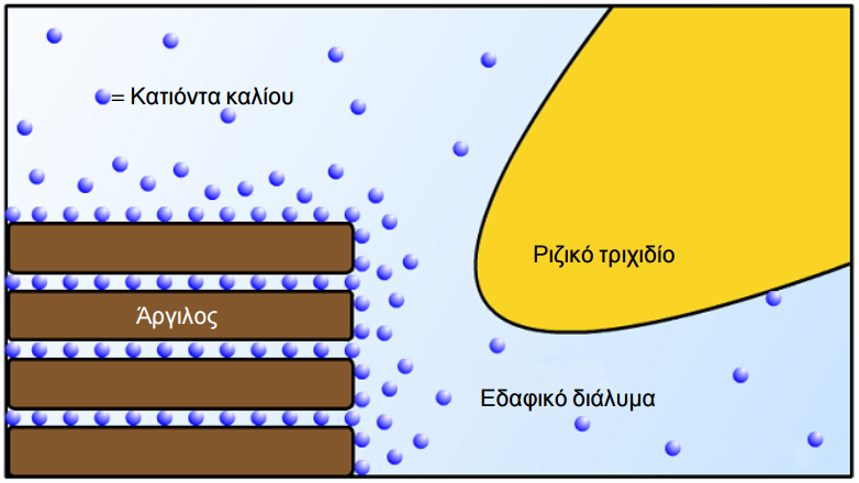 kinhsh kaliou edafos 3