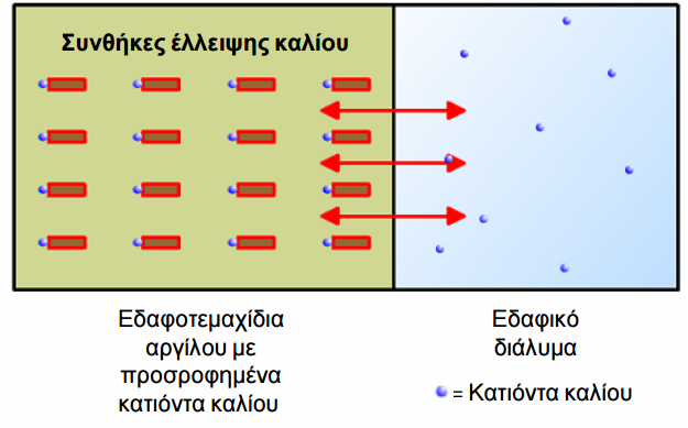 kinhsh kaliou edafos 4