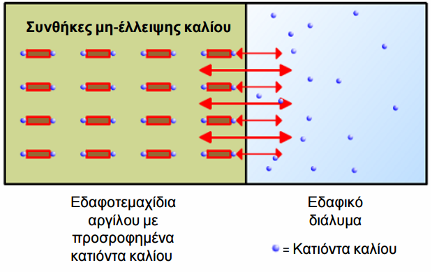 kinhsh kaliou edafos 4b