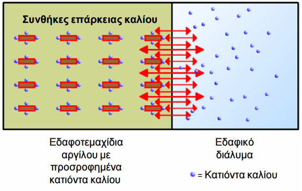kinhsh kaliou edafos 4c
