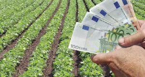 Εκρηκτική αύξηση όσων δήλωσαν αγροτικά εισοδήματα το 2014