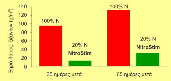 ksiro varos zizaniwn