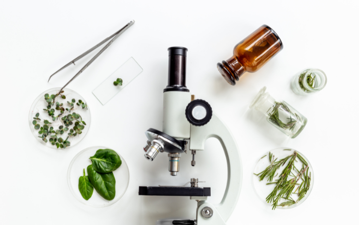 lab