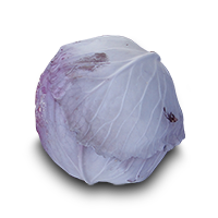 laxano kokkino ROMUS F1