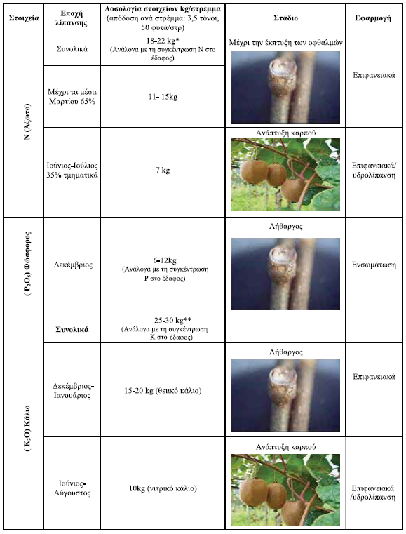 lipansh paragwgika dentra aktinidia