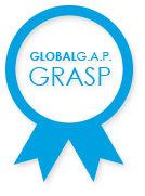 log graps