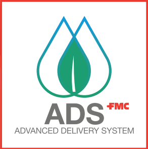 logo ads
