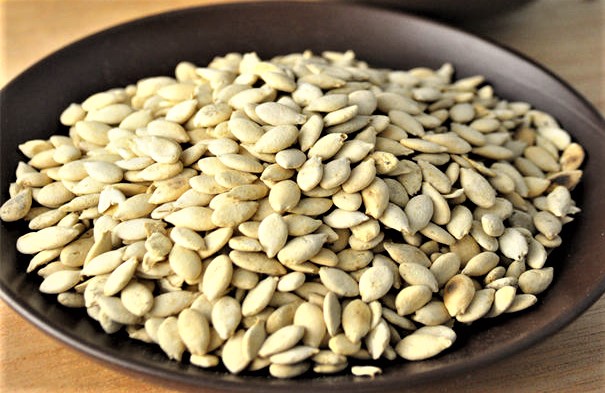 melon seed1