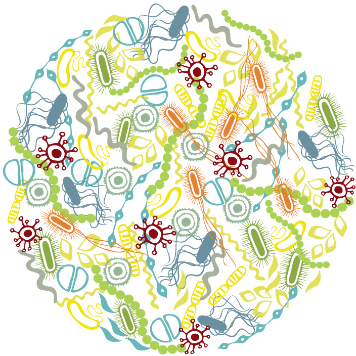 microbes