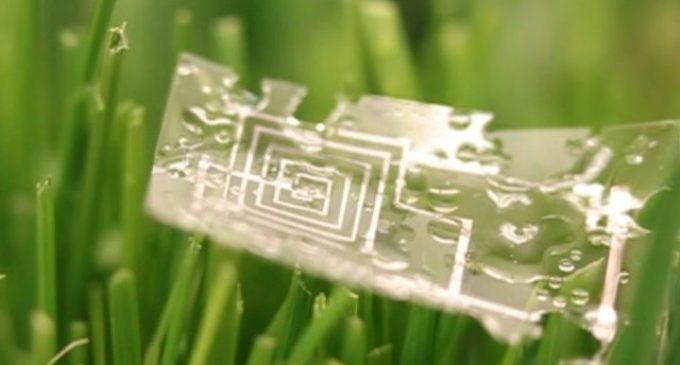 microchip3