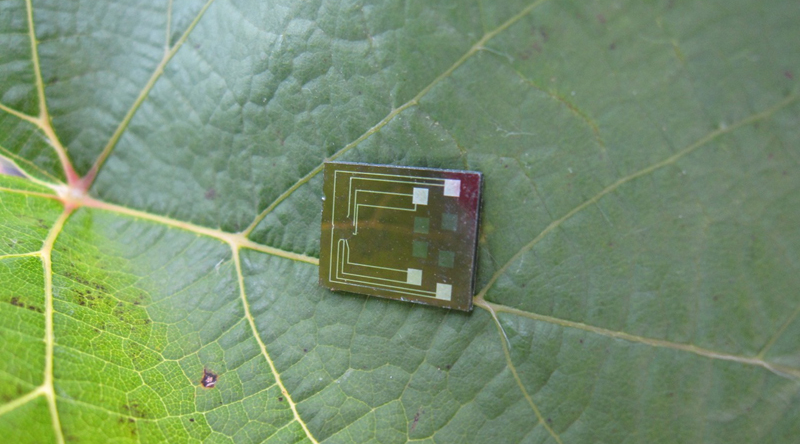 microchip